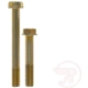Purchase Top-Quality Front Caliper Bolt Or Pin by RAYBESTOS - H15156 pa3