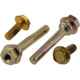Purchase Top-Quality Front Caliper Bolt Or Pin by RAYBESTOS - H15234 pa10