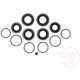 Purchase Top-Quality Front Caliper Kit by RAYBESTOS - WK1554 pa3