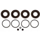 Purchase Top-Quality Front Caliper Kit by RAYBESTOS - WK3494 pa3