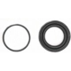 Purchase Top-Quality Front Caliper Kit by RAYBESTOS - WK892 pa3