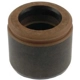 Purchase Top-Quality Piston d'étrier avant par CARLSON - 7545 pa5