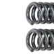 Purchase Top-Quality DORMAN (OE SOLUTIONS) - 929-946 - Suspension Coil Spring pa2