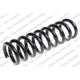 Purchase Top-Quality Front Coil Springs by LESJOFORS - 4062075 pa1