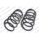 Purchase Top-Quality Front Coil Springs by LESJOFORS - 4112161 pa1