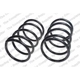 Purchase Top-Quality Front Coil Springs by LESJOFORS - 4159201 pa1