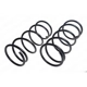 Purchase Top-Quality LESJOFORS - 4162007 - Front Coil Springs pa1