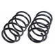 Purchase Top-Quality LESJOFORS - 4192510 - Front Coil Springs pa2