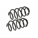 Purchase Top-Quality MEVOTECH - SMS250144 - Coil Springs pa1