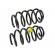 Purchase Top-Quality MEVOTECH - SMS250151 - Coil Springs pa1