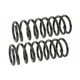 Purchase Top-Quality MEVOTECH - SMS30031 - Coil Spring Set pa1