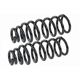 Purchase Top-Quality MEVOTECH - SMS90004 - Coil Spring Set pa1