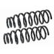 Purchase Top-Quality MEVOTECH - SMS90005 - Coil Spring Set pa1