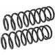 Purchase Top-Quality Front Coil Springs by MEVOTECH - SMS3228 pa3