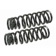 Purchase Top-Quality Front Coil Springs by MEVOTECH - SMS400259 pa2