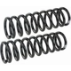 Purchase Top-Quality Front Coil Springs by MEVOTECH - SMS5276 pa3