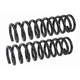 Purchase Top-Quality Front Coil Springs by MEVOTECH - SMS5280 pa2