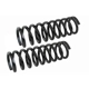 Purchase Top-Quality Front Coil Springs by MEVOTECH - SMS5626 pa2