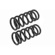 Purchase Top-Quality Front Coil Springs by MEVOTECH - SMS5758 pa2