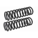 Purchase Top-Quality MEVOTECH - SMS580 - Front Coil Springs pa2