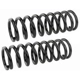 Purchase Top-Quality Front Coil Springs by MEVOTECH - SMS590 pa3