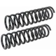 Purchase Top-Quality Front Coil Springs by MEVOTECH - SMS6004 pa2