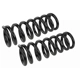 Purchase Top-Quality Front Coil Springs by MEVOTECH - SMS60150 pa2