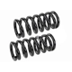 Purchase Top-Quality Front Coil Springs by MEVOTECH - SMS7390 pa3