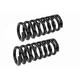 Purchase Top-Quality Front Coil Springs by MEVOTECH - SMS7596 pa2