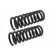 Purchase Top-Quality Front Coil Springs by MEVOTECH - SMS80662 pa2