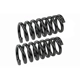 Purchase Top-Quality Front Coil Springs by MEVOTECH - SMS80866 pa2