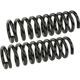 Purchase Top-Quality Front Coil Springs by MEVOTECH - SMS81280 pa2