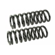 Purchase Top-Quality Front Coil Springs by MEVOTECH - SMS8732 pa2