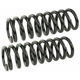 Purchase Top-Quality Front Coil Springs by MEVOTECH - SMS8732 pa3