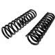 Purchase Top-Quality Front Coil Springs by MOOG - 6000 pa5