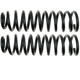 Purchase Top-Quality Front Coil Springs by MOOG - 81098 pa6