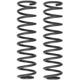 Purchase Top-Quality Front Coil Springs by RANCHO - RS6416B pa3