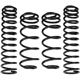 Purchase Top-Quality Front Coil Springs by RANCHO - RS80127B pa1
