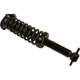 Purchase Top-Quality Front Complete Strut Assembly by ACDELCO - 903-613RS pa2
