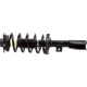 Purchase Top-Quality Front Complete Strut Assembly by ACDELCO - 903-753RS pa2