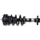 Purchase Top-Quality EVOLUTION - VCHE012 - Complete Shock Absorber Assembly pa2