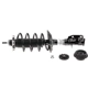 Purchase Top-Quality Front Complete Strut Assembly by EVOLUTION - V11312 pa3