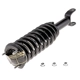 Purchase Top-Quality Front Complete Strut Assembly by EVOLUTION - V171100 pa4
