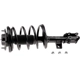 Purchase Top-Quality Front Complete Strut Assembly by EVOLUTION - V171135 pa3