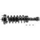 Purchase Top-Quality Front Complete Strut Assembly by EVOLUTION - V171362 pa3