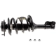 Purchase Top-Quality Front Complete Strut Assembly by EVOLUTION - V171405 pa3