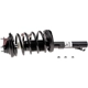 Purchase Top-Quality Front Complete Strut Assembly by EVOLUTION - V171504 pa3