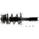 Purchase Top-Quality Front Complete Strut Assembly by EVOLUTION - V171661 pa3