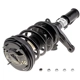 Purchase Top-Quality Front Complete Strut Assembly by EVOLUTION - V171667 pa3