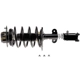 Purchase Top-Quality Front Complete Strut Assembly by EVOLUTION - V172130R pa3